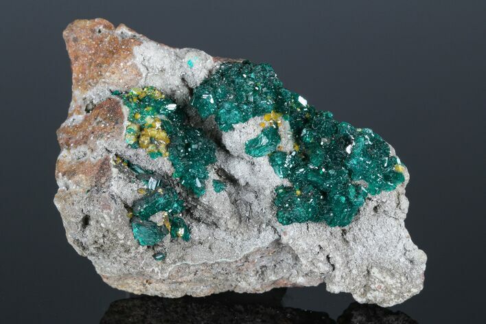 Gemmy Dioptase Clusters with Mimetite - N'tola Mine, Congo #175946